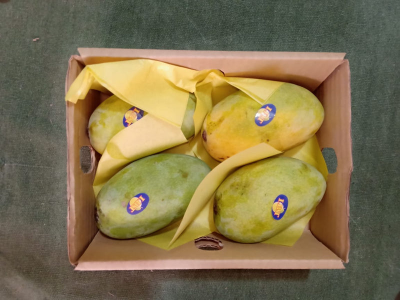 Fresh Mangoes - Right From Pakistan