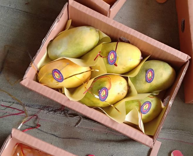 Mango Mango Mango